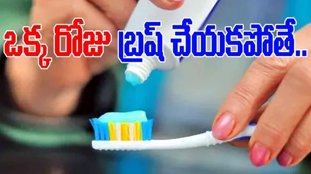 Brushing Teeth: ఒక్క రోజు పళ్లు తోముకోకపోతే ఇంత డేంజరా..?