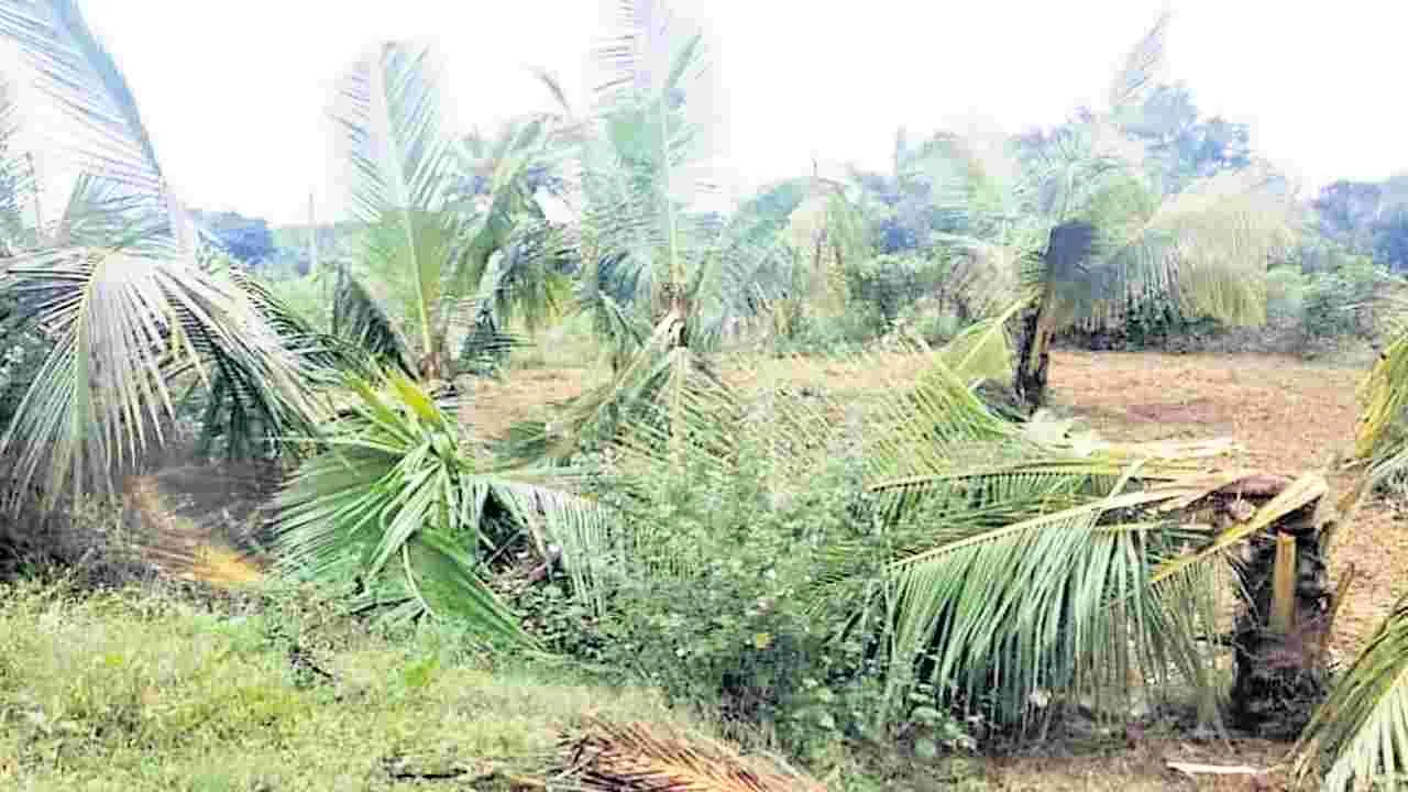 Elephant : పంటలపై ఏనుగు దాడి