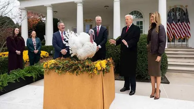 Donald Trump: ట్రంప్ మంచి మనస్సు.. రెండు టర్కీ కోళ్లకు క్షమాభిక్ష..