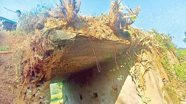   fall కూలితేగానీ కదలరా?