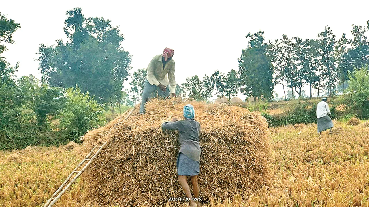 Cyclone Tension తుఫాన్‌ టెన్షన్‌