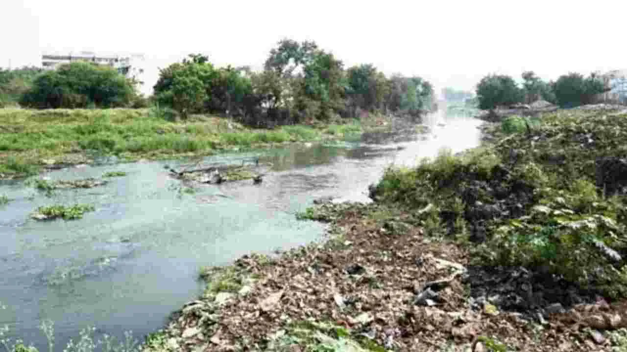 Vijayawada Mosquito: దోమలు బాబోయ్.. పెరుగుతున్న బోధకాలు వ్యాధి వ్యాప్తి