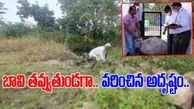 Viral News: ఇంటి ముందు బావి తవ్వుతుండగా జిగేల్‌మన్న కళ్లు.. ఏముందా అని చూడగా.. 