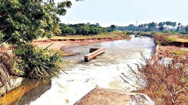 Can’t This Be Stopped?  అడ్డుకట్ట వేయలేరా?