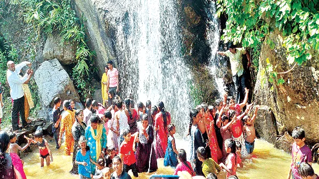 Sunday Fun & Buzz సండే సందడి 