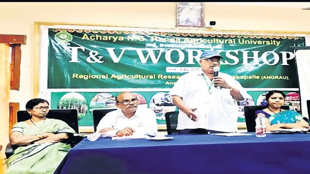 ఆశాజనకంగా రబీ