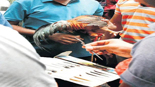 కత్తులు రె‘ఢీ’