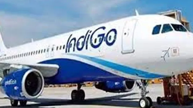 IndiGo Flight Delayed: రన్‌వేపై మొరాయించిన ఇండిగో విమానం 