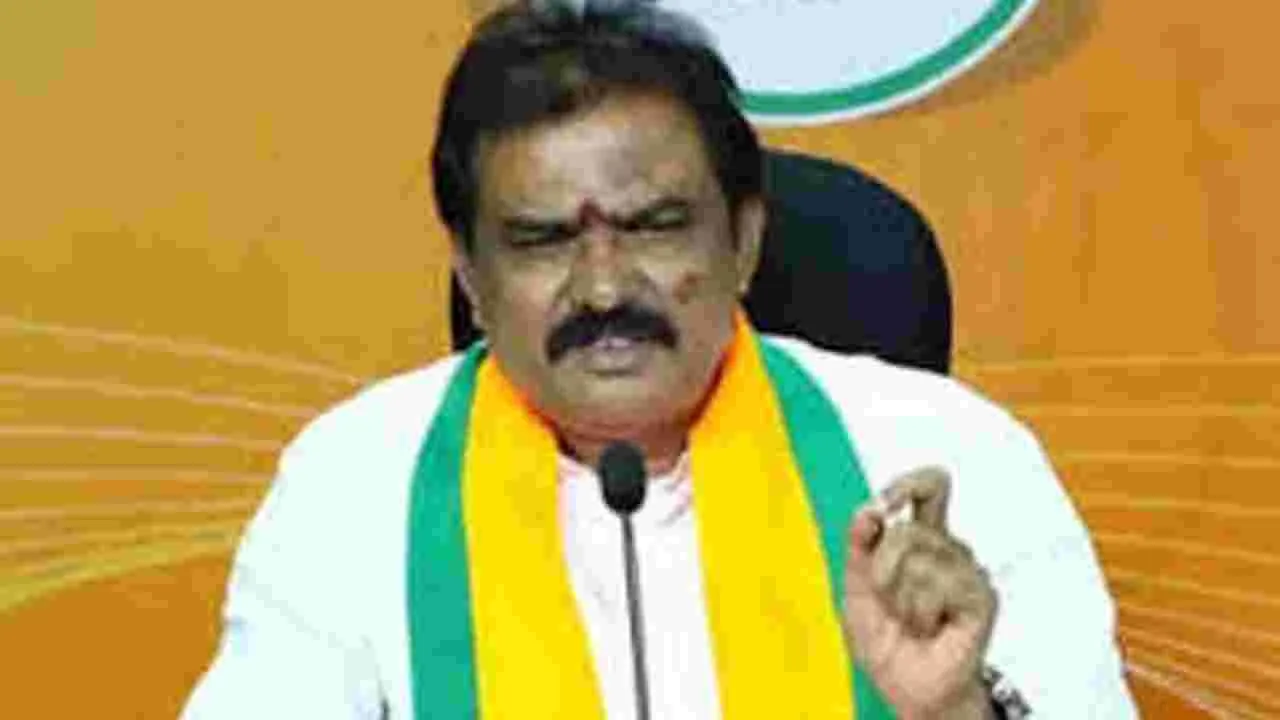BJP MLA Payal Shankar: ప్రాజెక్టులు పూర్తికాకపోవడం బాధాకరం