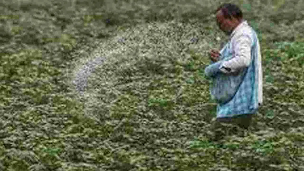 India urea imports: తగ్గిన యూరియా ఉత్పత్తి..రెట్టింపైన దిగుమతి