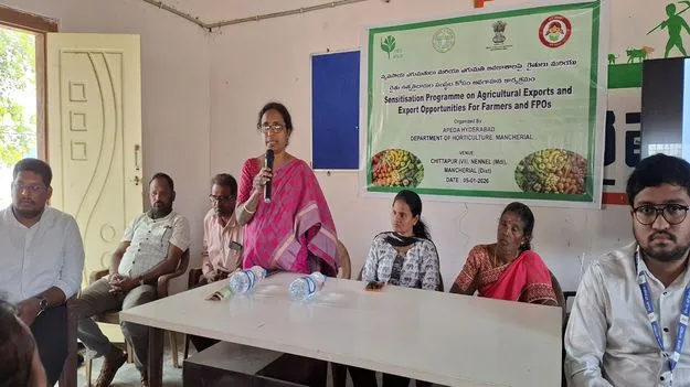 మామిడి పండ్ల ఎగుమతితో రెట్టింపు ఆదాయం