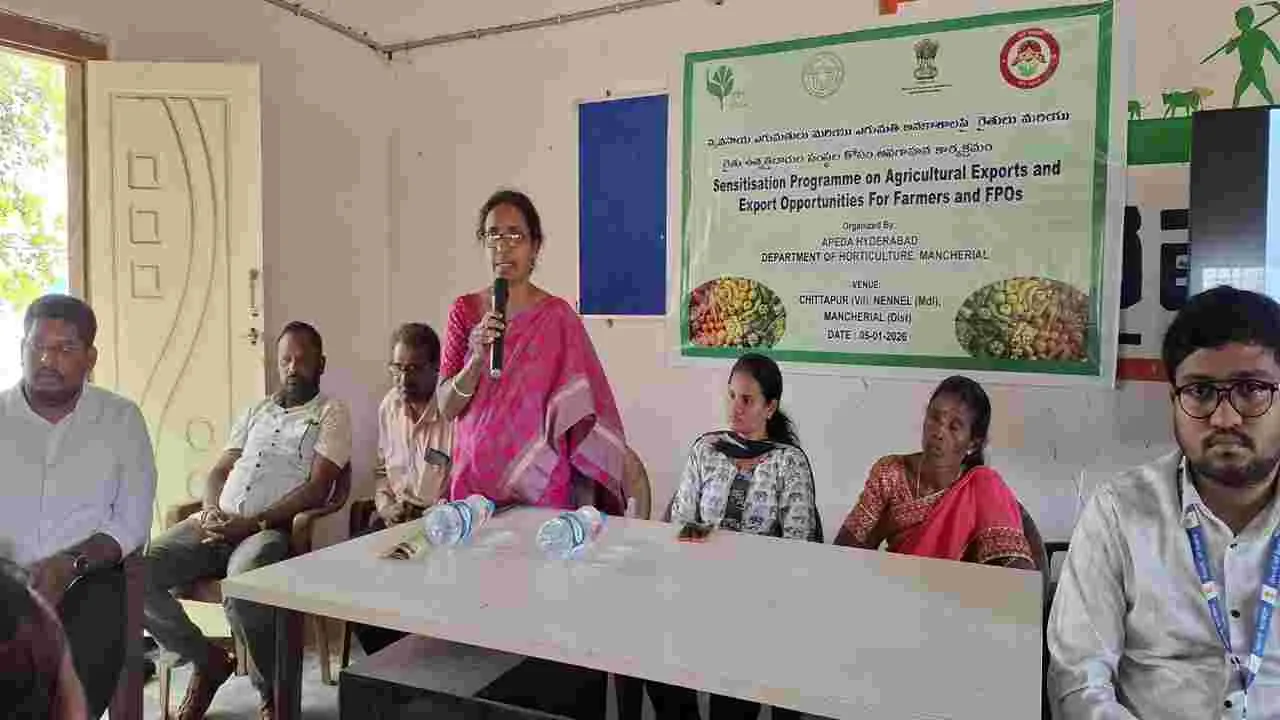 మామిడి పండ్ల ఎగుమతితో రెట్టింపు ఆదాయం