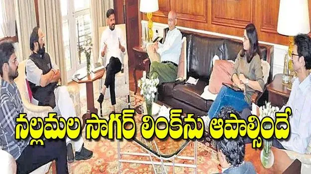 Chief Minister Revanth Reddy: నల్లమల సాగర్‌ లింక్‌ను ఆపాల్సిందే