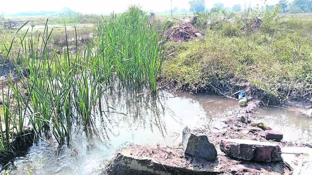 CANAL: మరువ కాలువ అధ్వానం 