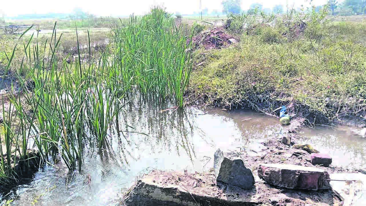 CANAL: మరువ కాలువ అధ్వానం