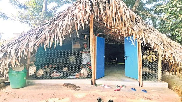 పూరిపాకల్లో చదువులు