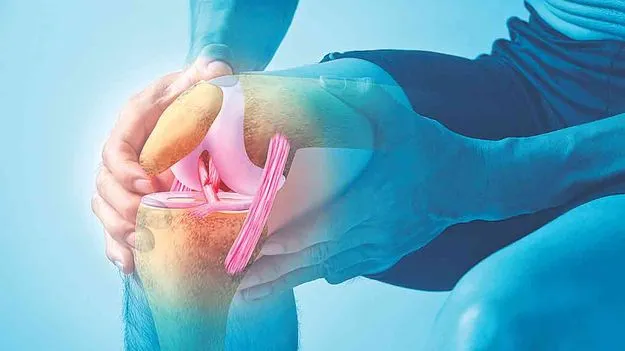  Hope for Joint Repair: మృదులాస్థి పునరుద్ధరణ సాధ్యమే