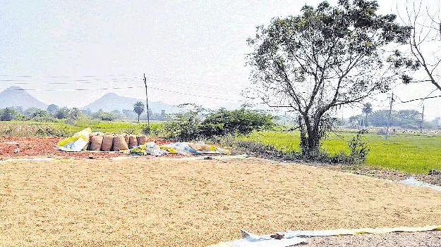 రైతు సేవా కేంద్రాల వైపే మొగ్గు