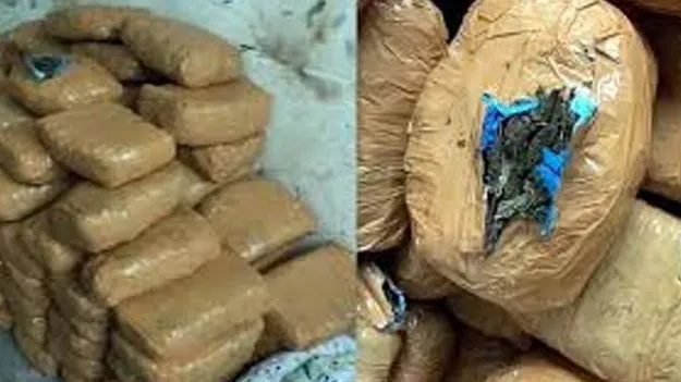  Nizamabad Jail: జైలులో గంజాయి గుప్పుపై డీజీకి నివేదిక