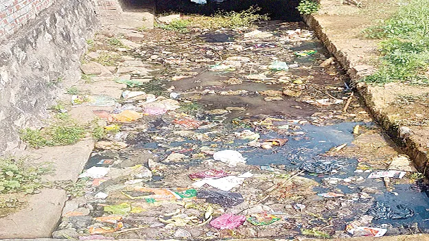 చెత్త తొలగించక.. కాలువలు శుభ్రం చేయక
