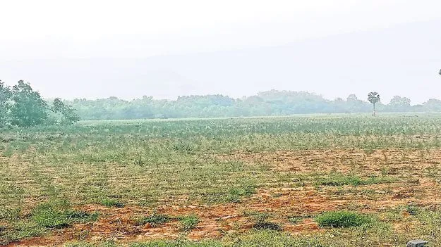 అన్‌సెటిల్డ్‌ భూముల్లో పాగా!