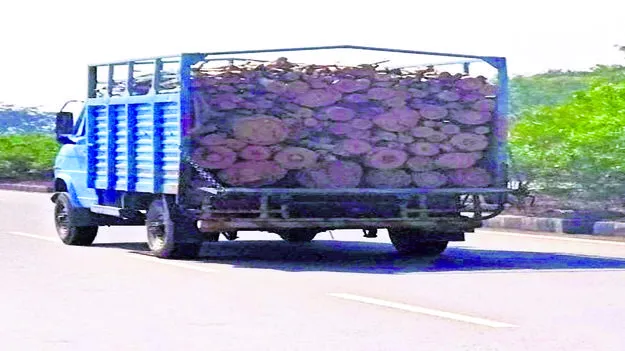 WOOD TRANSPORT: కలప అక్రమ రవాణాను అడ్డుకునేదెవరు?