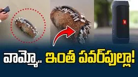 JBL Speaker Viral Video: ఇలాక్కూడా జరుగుతుందా! ఇదేంటో తెలిస్తే.. వైరల్ వీడియో