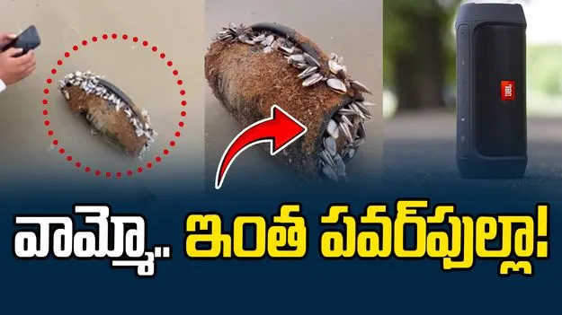 JBL Speaker Viral Video: ఇలాక్కూడా జరుగుతుందా! ఇదేంటో తెలిస్తే.. వైరల్ వీడియో