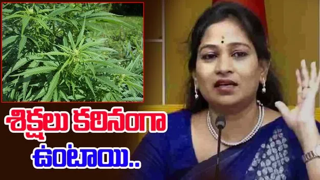 Minister Anitha: గంజాయికి ‘నో’ చెప్పి భవిష్యత్ సురక్షితం చేసుకోండి