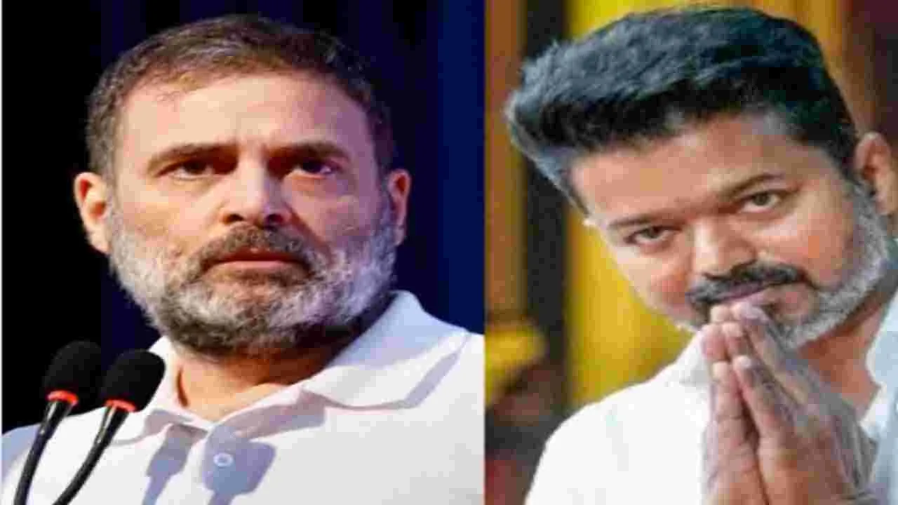 Actor Vijay TVK: కాంగ్రెస్ మా సహజ మిత్రుడు.. విజయ్ టీవీకే సంకేతాలు