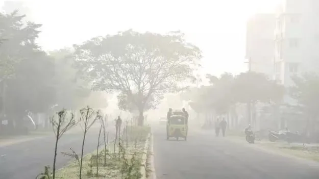 Coastal Andhra Fog: కోస్తాలో తీవ్రంగా మంచు 