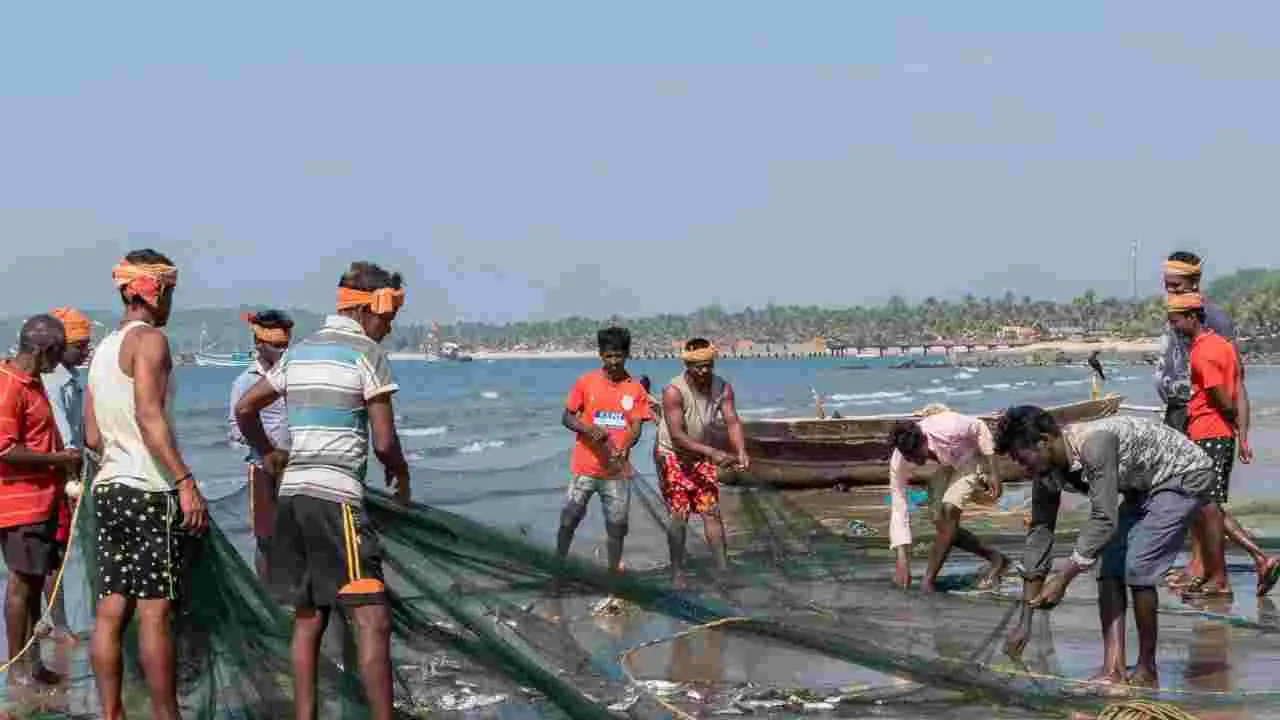 Fishermen Cooperative Federation: రేపు మత్స్యకార సమాఖ్య ఎన్నికలు