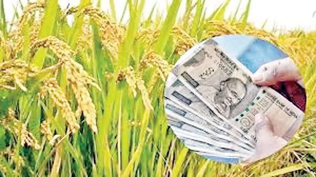 రైతుల కళ్లల్లో.. పండుగ వెలుగు!