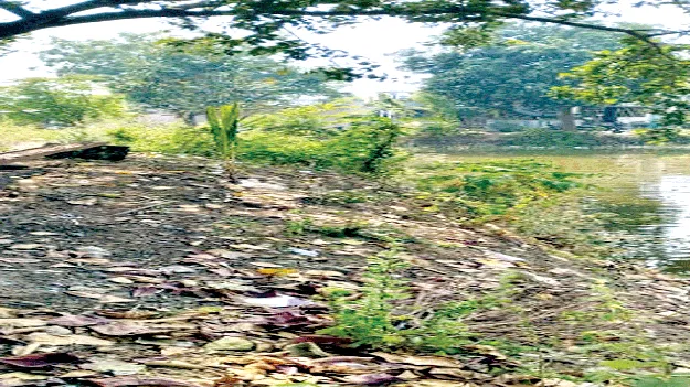 Will It Be Left Like This? ఇలానే వదిలేస్తారా?