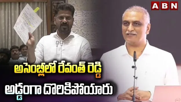 Telangana: అసెంబ్లీ సాక్షిగా అన్నీ అబద్ధాలే: హరీష్‌రావు