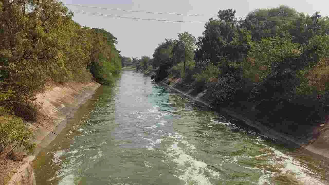 కాలువ నీరు..   వరినాట్ల జోరు..