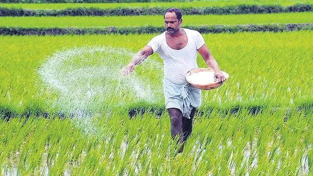 urea?: యూరియా ఏదయా?