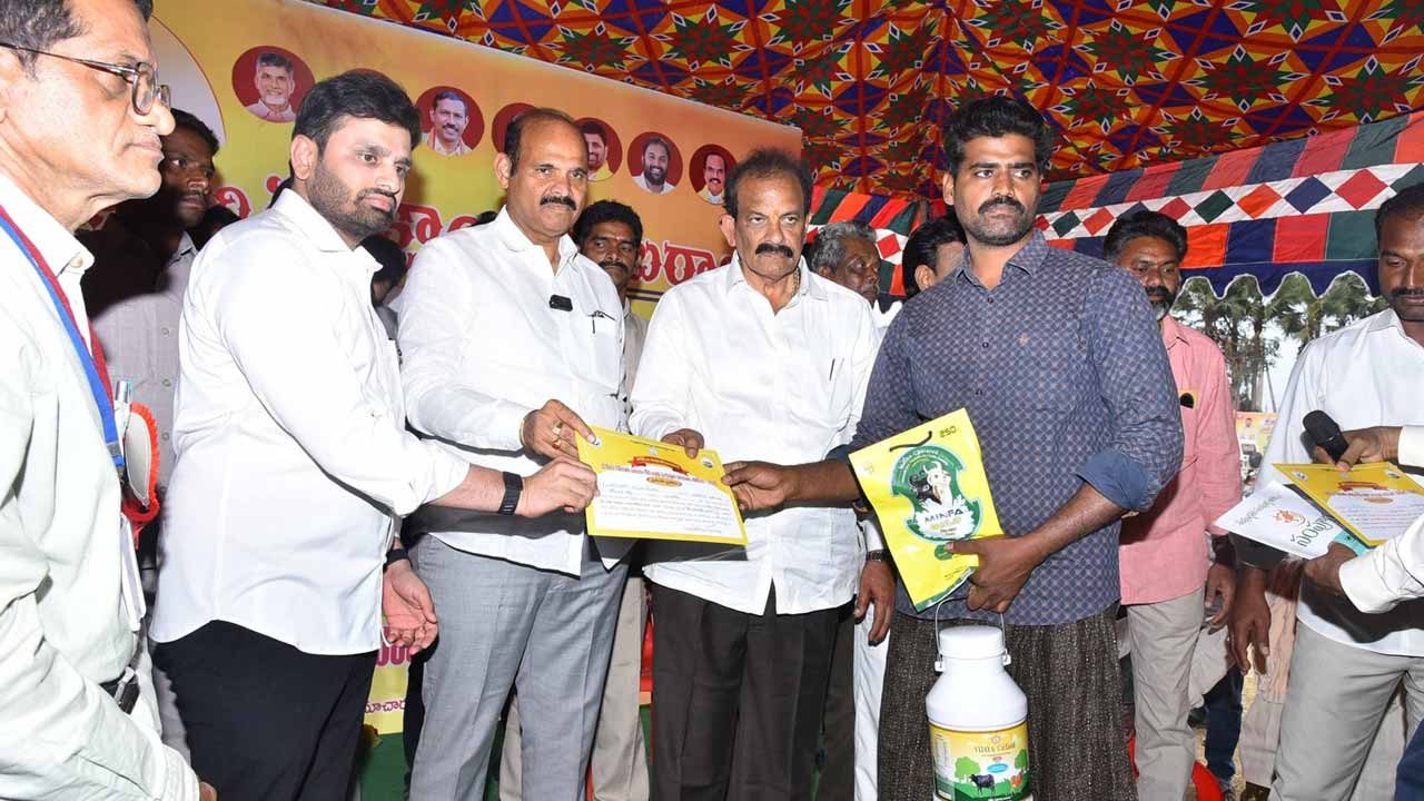 ఆకట్టుకున్న పశువుల అందాల పోటీలు