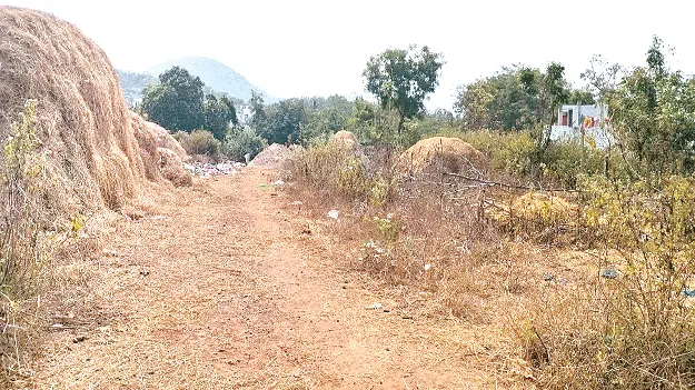  ప్రభుత్వ జాగా.. ఆక్రమించేద్దాం