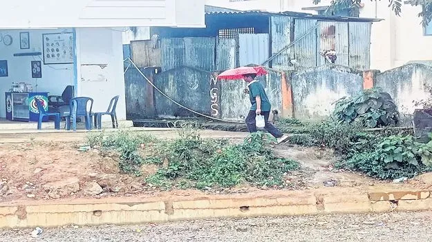 మన్యంలో ముసురు