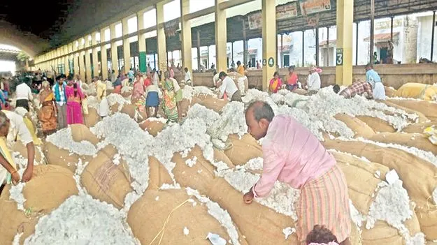 తెల్ల బంగారం ధరలు పైపైకి