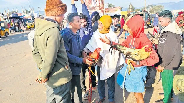 కోడిపుంజులకు భలే గిరాకీ