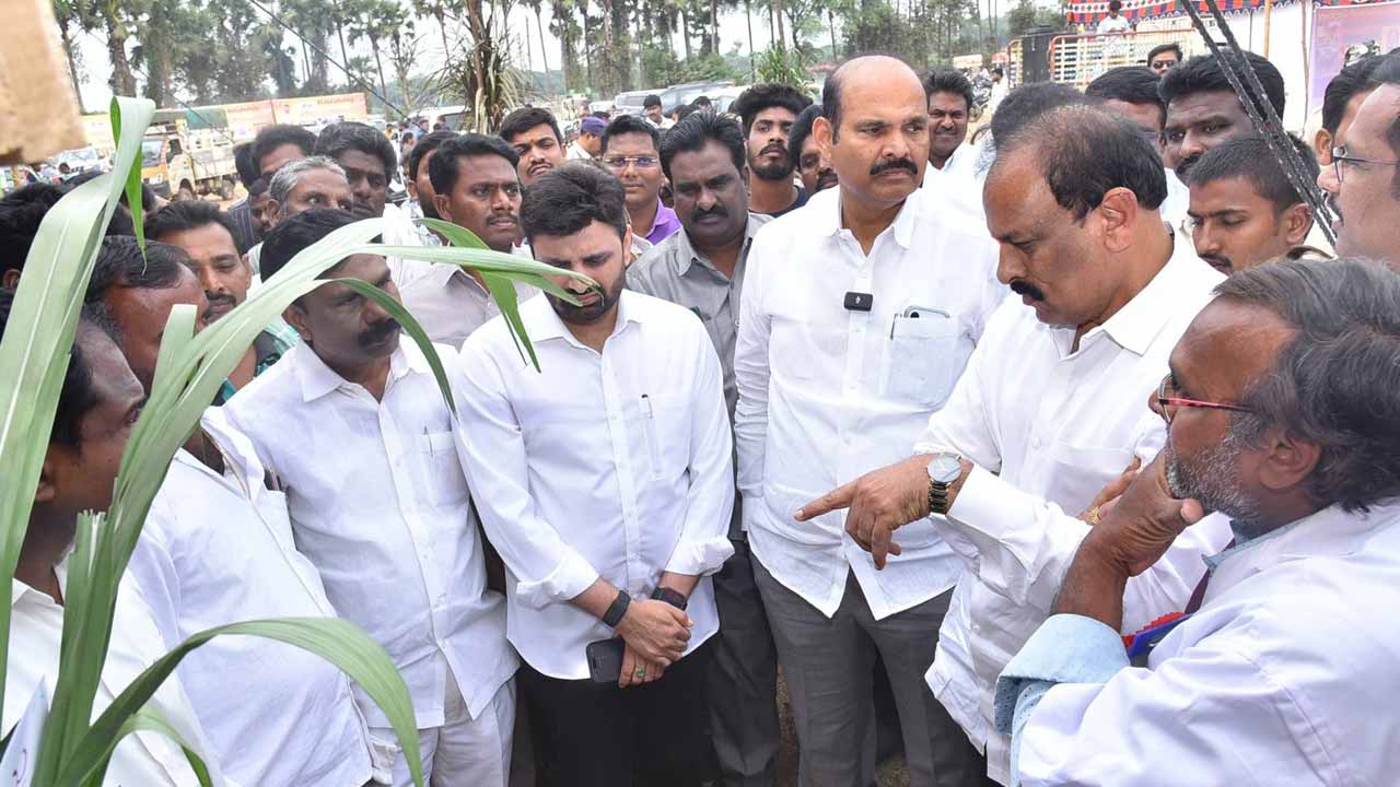 ఆకట్టుకున్న పశువుల అందాల పోటీలు