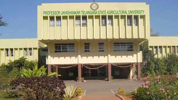 Jayashankar Agriculture University: గోవా టూర్లు.. లిక్కర్‌ దావత్‌లు!