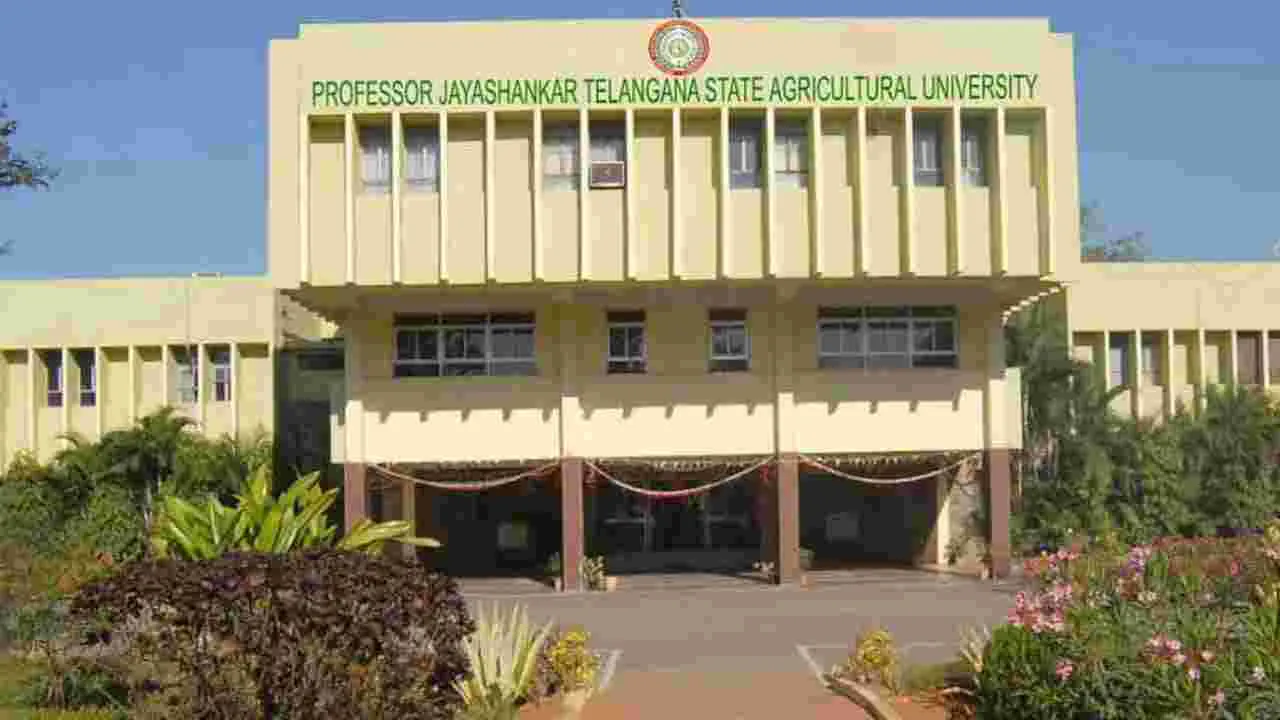 Jayashankar Agriculture University: గోవా టూర్లు.. లిక్కర్‌ దావత్‌లు!