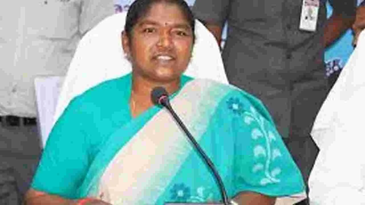 Minister Seethakka: మేడారంలో కొమురంభీం, బిర్సాముండా విగ్రహాలు