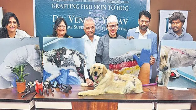Fish Skin Used to Heal Pet Dog Injury: పెంపుడు కుక్క గాయానికి చేపచర్మం! 