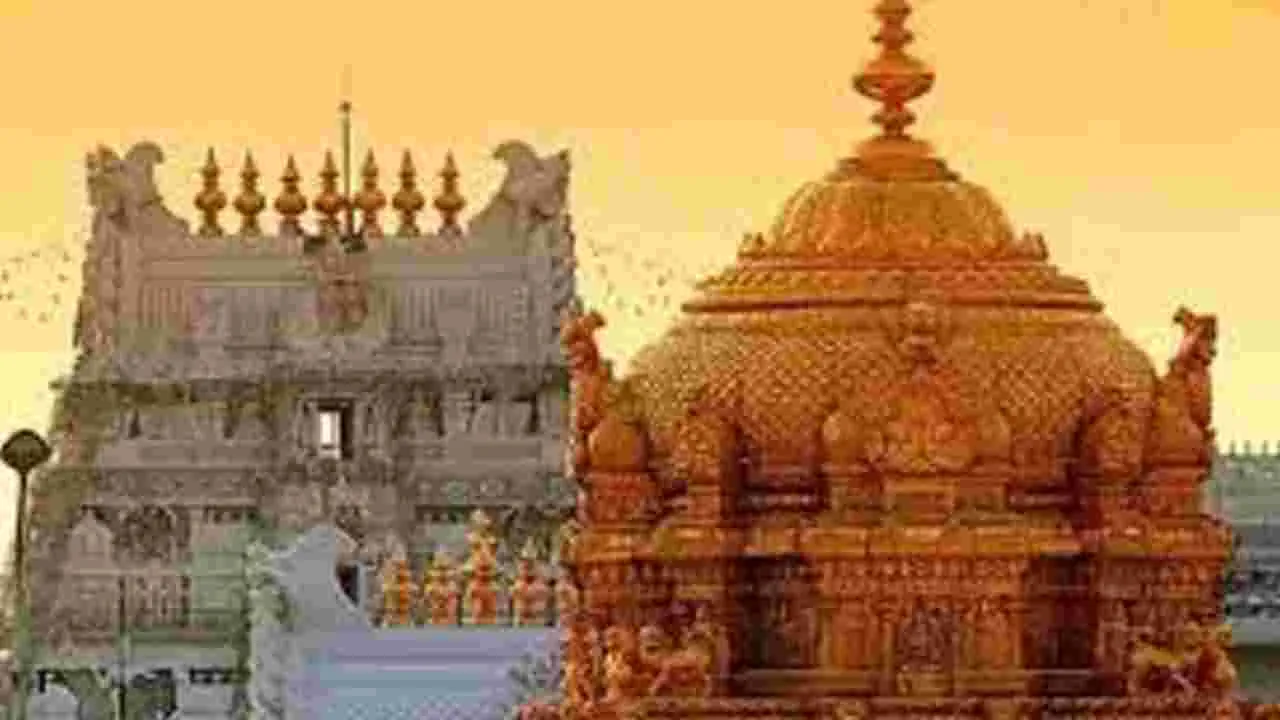 TTD Cancels Offline Shrivani Ticket Booking: తిరుమలలో ‘శ్రీవాణి’ ఆఫ్‌లైన్‌ టికెట్ల జారీ రద్దు