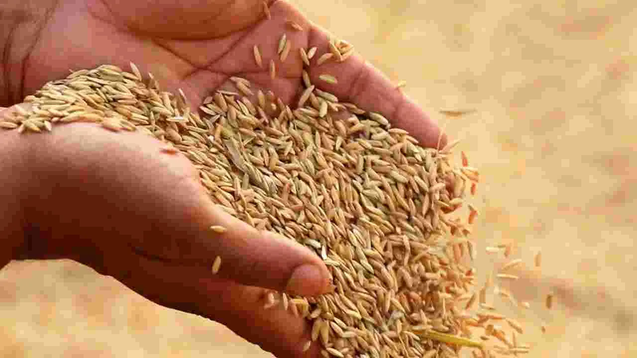 Kharif Grain: సంక్రాంతి దాకా ఖరీఫ్‌ ధాన్యం కొనుగోళ్లు!