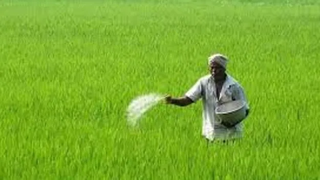 Farmers Buying Excess Urea in Bulk: యూరియా ఎక్కువ తీసుకున్న రైతులపై నిఘా!